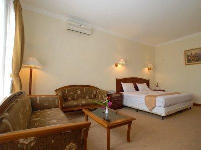 Sany Rosa Hotel 3*