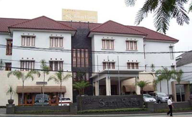 Sany Rosa Hotel 3*
